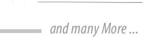Industry Partner – BRIL